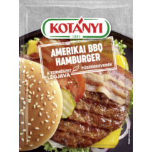 kotanyi-amerikai-bbq-hamburger